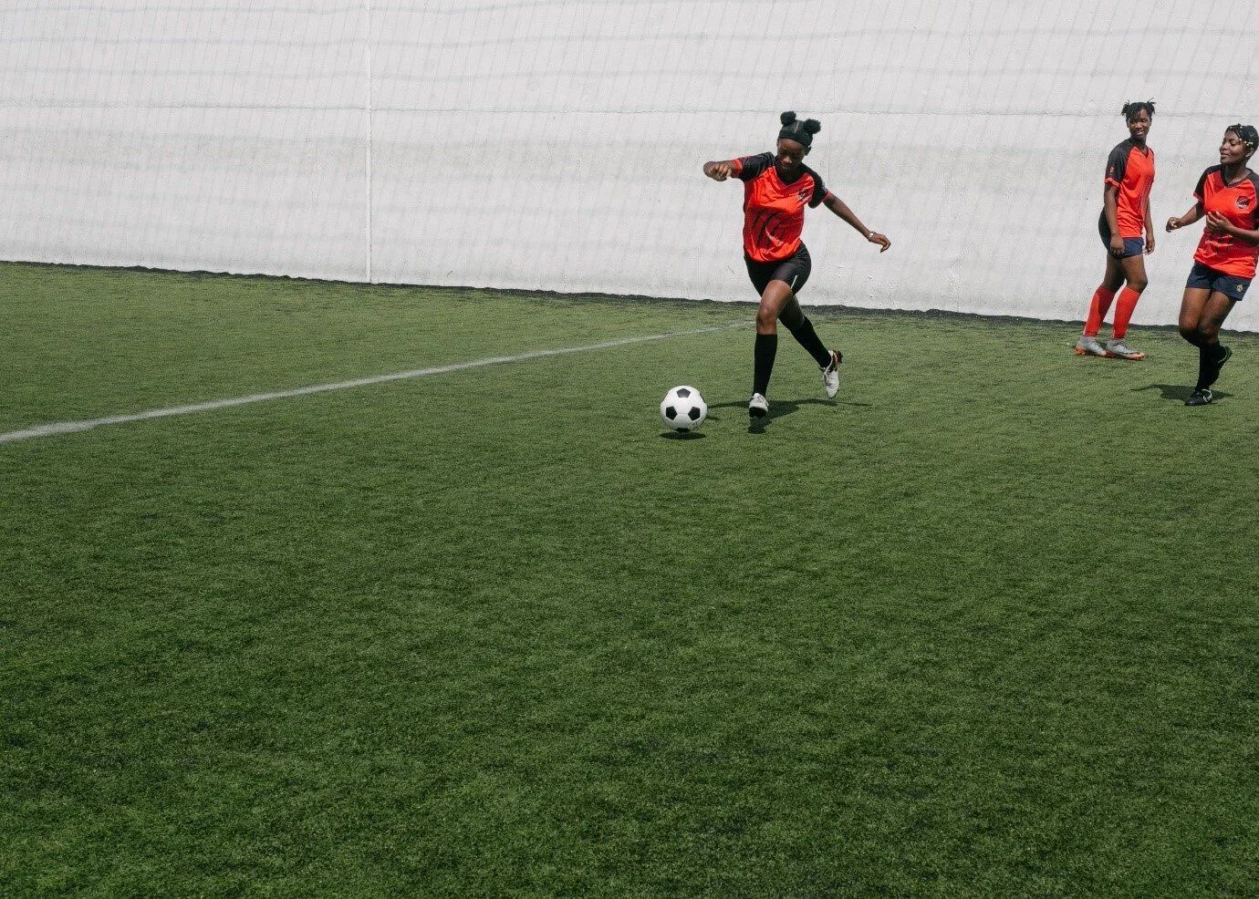Financial Assessment of Proposed Artificial Turf (PNCC)