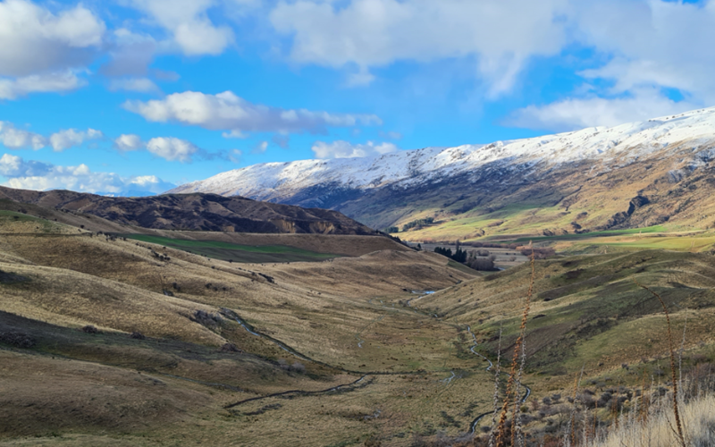 Snow Sports NZ Dryland Training Facility